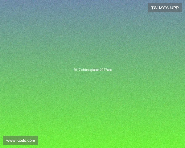 2017 china gt赛事决赛 2017年赛事