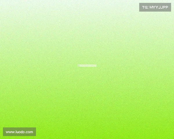 E组赛事深度解析与前瞻展望